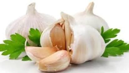 பூண்டை தினமும் சாப்பிட்டால் உங்களுக்கு இந்த நோய்கள் வரவே வராது…