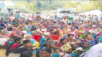 ஆறு மாதங்களாக எங்களுக்கு சம்பளம் தராமல் ஏமாற்றுகிறார்கள் – 100 நாள் வேலைத்திட்ட பணியாளர்கள் வேதனை…