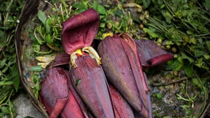 வாழைப்பூவை இப்படி சாப்பிட்டால் உடல் சூட்டை தணிக்கலாம்... இன்னும் நிறைய பலன்கள் இருக்கு...