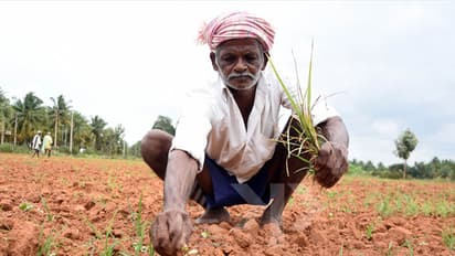 Chandrababu Naidu finds it difficult to waive farmer loans