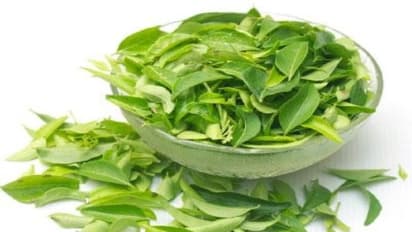 கறிவேப்பிலையை இப்படி பயன்படுத்தினால் அதன் மொத்த சத்துகளையும் பெறலாம்...