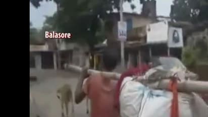 മുളന്തണ്ടില് കൊണ്ടുപോവാന് മൃതദേഹം ഒടിച്ചുമടക്കി; ഒഡിഷയില്നിന്ന് വീണ്ടും ഞെട്ടിക്കുന്ന വീഡിയോ