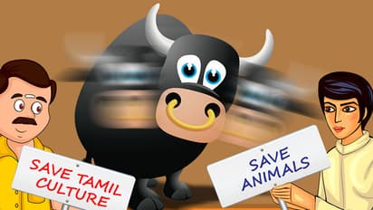 Jallikattu Ban: Are Kollywood actors scared of backlash from Tamilians?