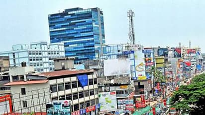 കോഴിക്കോട് നഗരത്തിലേക്ക് അപ്രതീക്ഷിതമായി 'അതിഥി' എത്തി; വീടുകളിലെ ചെടിച്ചട്ടിയും ചെടിയും നശിപ്പിച്ചു