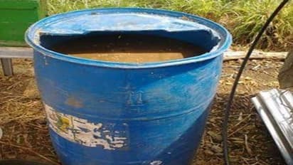 இயற்கை விவசாயத்தில் நம் முன்னோர்கள் அதிகளவு பயன்படுத்தியது எது தெரியுமா? “ஜீவாமிர்தம்’