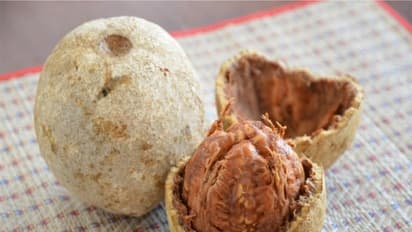 விளாம்பழத்தில் இருக்கும் மருத்துவ குணங்கள் என்னவெல்லாம் செய்யும் தெரியுமா? 