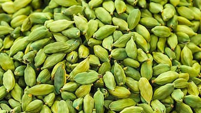 ഏലയ്ക്കയുടെ നിങ്ങളറിയാത്ത 7 ഗുണങ്ങൾ