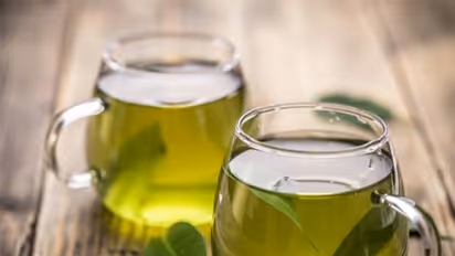 கொழுப்பை கரைத்து உடலை ஒல்லியாக்கும் சக்தி கிரீன் டீ-க்கு உண்டு…