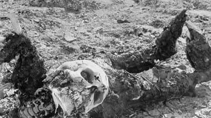 Cops make major breakthrough in the murder of Kerala NRI