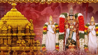 తిరుమలలో ఇలా చేస్తే సామాన్యులూ విఐపిలే...