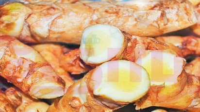 இப்படியொரு இஞ்சி வகையை கேள்விப்பட்டது உண்டா “மா இஞ்சி”…