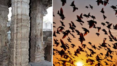 കാഴ്ചകളുടെ നിഗൂഢതകളൊളിപ്പിച്ച ലെപാക്ഷി മുതല് ജതിംഗ വരെ