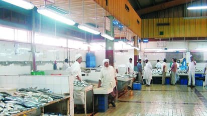 ഖത്തറിലെ അബൂ ഹമൂറിലുള്ള സെൻട്രൽ മൽസ്യ മാർക്കറ്റ് പ്രവർത്തനം അവസാനിപ്പിക്കുന്നു