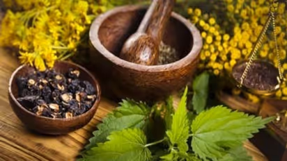 இந்த ஐந்து பெரிய பிரச்சனைகளுக்கும் தீர்வு ரொம்ப சிம்பிள்ங்க -இயற்கை வைத்தியத்தில்!