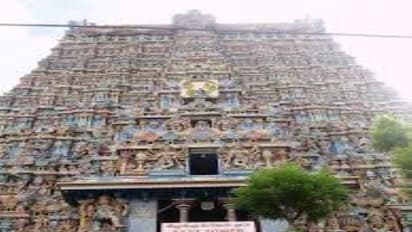 கருகிய புறாக்கள்…  இடிந்து விழுந்த மேற்கூரை… மீனாட்சி அம்மன் கோவில் கிழக்கு கோபுரத்தால் சகுன தடையா…. பக்தர்கள் அதிர்ச்சி….