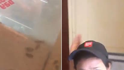 (వీడియో) కెఫే కాఫీ డేలో బొద్దింకలు.. ప్రశ్నిస్తే చెంపదెబ్బె