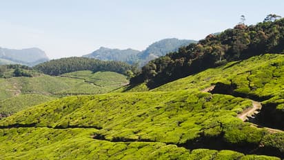 ഇടുക്കിയിൽ ഇനി അറിയിപ്പുകൾ ഹിന്ദിയിലും