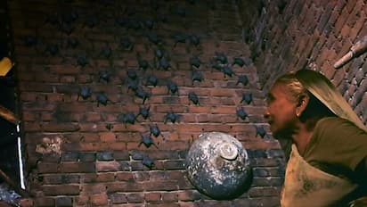 ശാന്താബെൻ: ഇത് ഇന്ത്യയുടെ 'ബാറ്റ് വുമണ്'