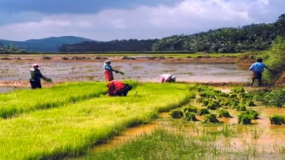 வேளாண்மை உற்பத்தி திறனையும், விவசாயிகளின் வருமானத்தையும் அதிகரிக்க…