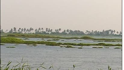 Exposed! Chandy, Jiji Thomson pressed for controversial projects