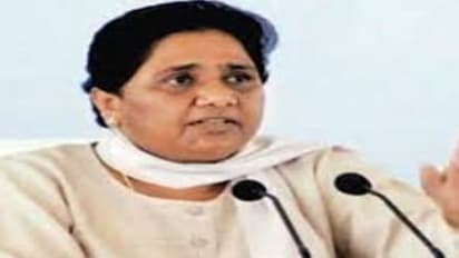 మాయావతి పార్టీకి దిమ్మతిరిగే బ్యాంక్ బ్యాలెన్స్