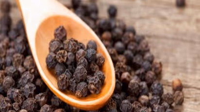 உங்களுக்குத் தெரியுமா? பத்து மிளகு இருந்தால் பகைவன் வீட்டிலும் உண்ணலாம்...