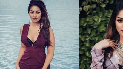 തെലുങ്ക് ചിത്രത്തിൽ നിന്ന് അനു ഇമ്മാനുവൽ ഔട്ടായി