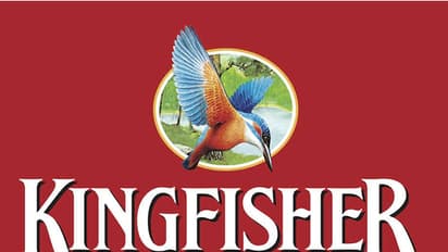 Mallya flew away just like ''Kingfisher'' bird: HC