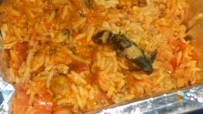 వెజ్ బిర్యానీలో బల్లి..!