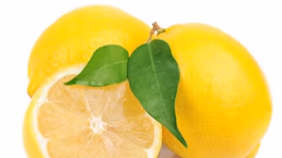 எலுமிச்சையில் அடங்கியுள்ள மருத்துவ குணங்கள் ஏராளம்...