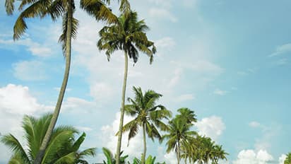 'ഇന്ത്യ കേരളത്തെ പോലെയാകണം'; ട്രെയിനില് അപ്രതീക്ഷിതമായി കണ്ട ഉത്തരേന്ത്യക്കാരന്റെ വാക്കുകള് പങ്കുവച്ച് യുവാവ്