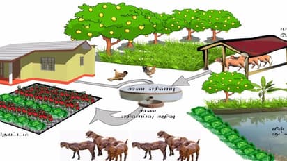 விவசாயத்தில் நாட்டம் கொண்டால், நட்டம் வராது; இதுவே ஒருங்கிணைந்த பண்ணைத் தத்துவம்…