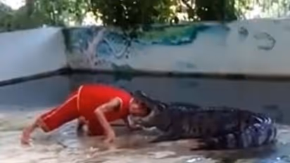 Thailand zookeeper learns why never to look a crocodile in its mouth