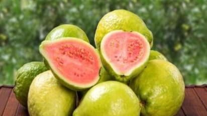 கொய்யா பழத்தை அலட்சியமாக நினைக்க வேண்டாம்... இதில் இருக்கும் சத்துக்கள் ஏராளம்...