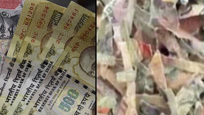 Dumped old notes leads to chaos in Karnataka garbage dump