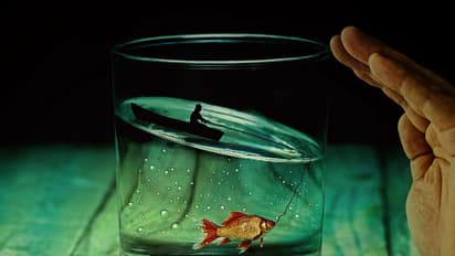 ബുദ്ധിജീവികളെ അവര്‍ എന്തിനു ഭയക്കുന്നു?