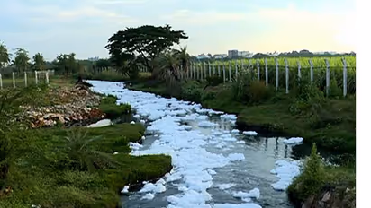 #UnitedBengaluru continues fight, lakes in Bomanahalli in spotlight