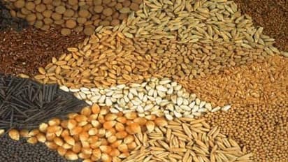 உடலுக்கு ஏற்ற மாவு எது? எந்த மாவுல என்ன மாதிரியான சத்து இருக்கு?