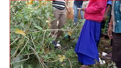 ನಾಯಿಗಳ ಬಾಯಿಗೆ ಆಹಾರವಾದ ನವಜಾತ ಶಿಶು