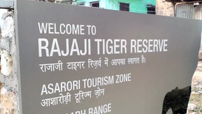 പകുതി ഭക്ഷിച്ച മനുഷ്യശരീരം കടുവ സങ്കേതത്തില്