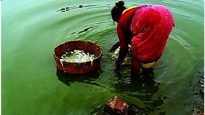 ഇതര സംസ്ഥാനങ്ങളില് നിന്നെത്തുന്ന ഉണക്കമീനില് മാലിന്യം മാത്രം