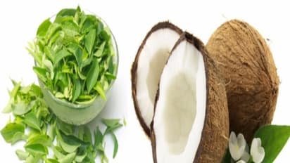 தேங்காய் மற்றும் கறிவேப்பிலையை  சாப்பிடுவதால் நமக்கு கிடைக்கும் நன்மைகள் ஒரு அலசல்...