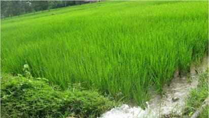 வளமான நீராதாரத்தை பெற இந்த யுக்திகளை எல்லாம் பயன்படுத்துங்கள்...