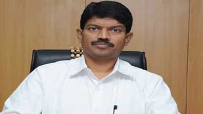 பயிர்க்காப்பீட்டு திட்டத்தில் மரவள்ளி, கரும்பு பயிர்களைச் சேர்க்க வேண்டும் - தமிழக அரசுக்கு ஆட்சியர் பரிந்துரை