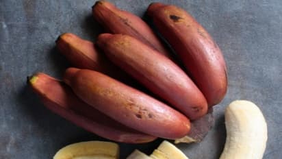 உங்களுக்குத் தெரியுமா? சோர்வை நீக்கி உடல் புத்துணர்வு பெற இந்தப் பழத்தை சாப்பிட்டாலே போதும்...