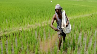 இயற்கை முறையில் தழைச்சத்தை எப்படி தயாரிப்பது? இதை வாசிச்சு தெரிஞ்சுக்குங்க...