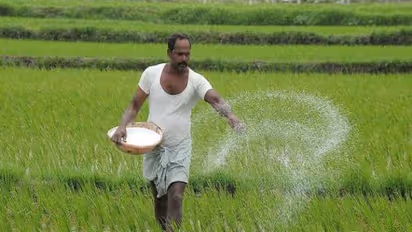 பூச்சித் தாக்குதலை தடுக்க இந்த இரண்டு கரைசல்களும் நன்றாக உதவும்...