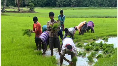 ईमानदार किसानों को तोहफा देगी मोदी सरकार