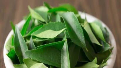 முடி வளர்ச்சியை தூண்டவும், முடி நரைப்பதை தடுக்கவும் உதவும் கறிவேப்பிலை டானிக்...