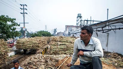 Kisan Padyatra: Cane farmers hope loans will be waived off